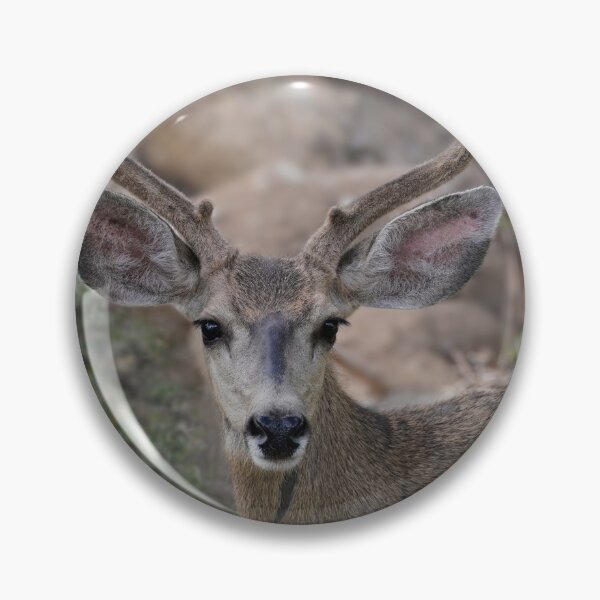Item preview, Beautiful Young Buck designed and sold by MomentofPercep.