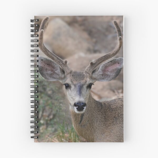 Item preview, Beautiful Young Buck designed and sold by MomentofPercep.