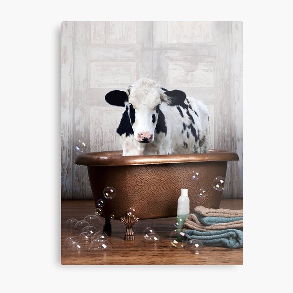 Cow in a Vintage Bathtub Metal Print