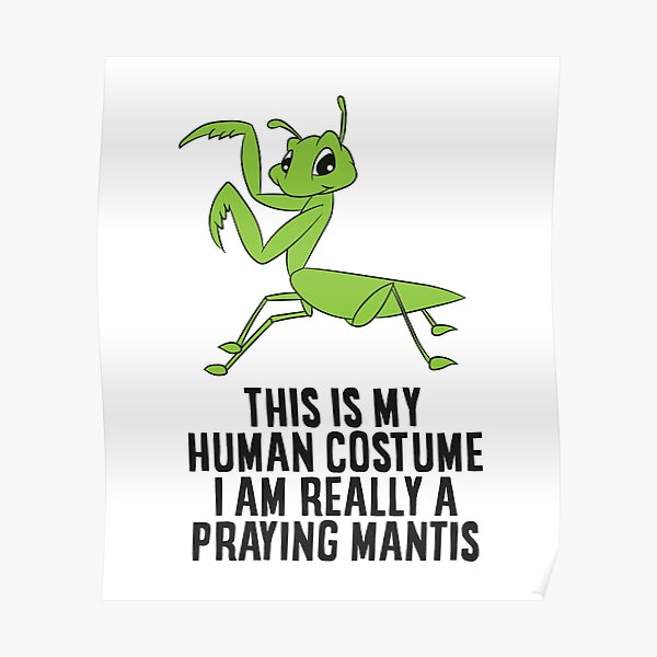 This Is My Human Costume I'm Really a Praying Mantis Poster