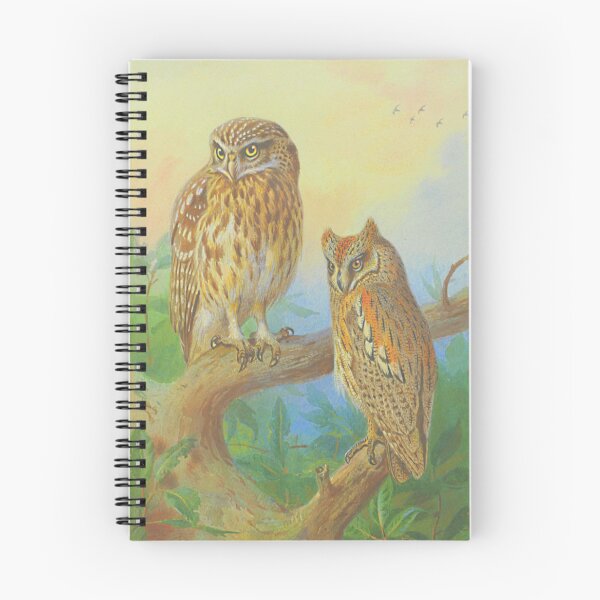 Item preview, Little Owl and Scops Owl Painted by Archibald Thorburn (1925) designed and sold by IridescentSea.