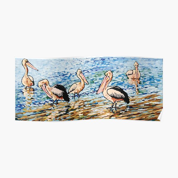 Pelicans Basking in the Morning Sunshine Poster