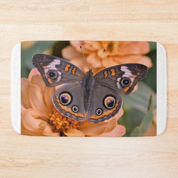 Item preview, Beautiful Buckeye Butterfly designed and sold by richardbryce.