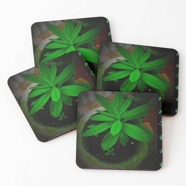 Item preview, Green plants view  designed and sold by PANSILU KAUSHALYA.