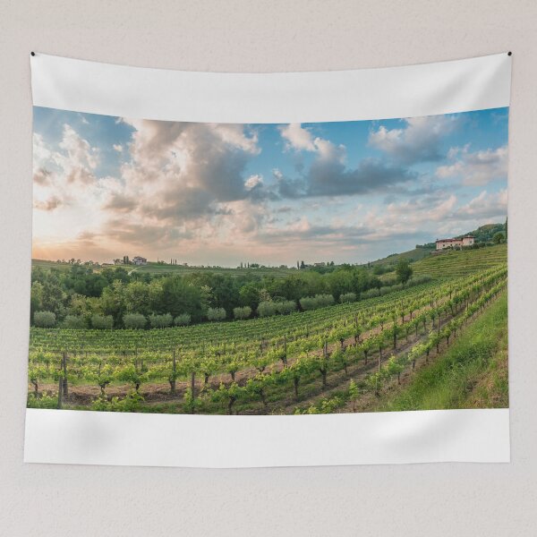 Item preview, Spring stormy sunset in the vineyards of Collio Friulano, Friuli-Venezia Giulia, Italy designed and sold by zakaz86.