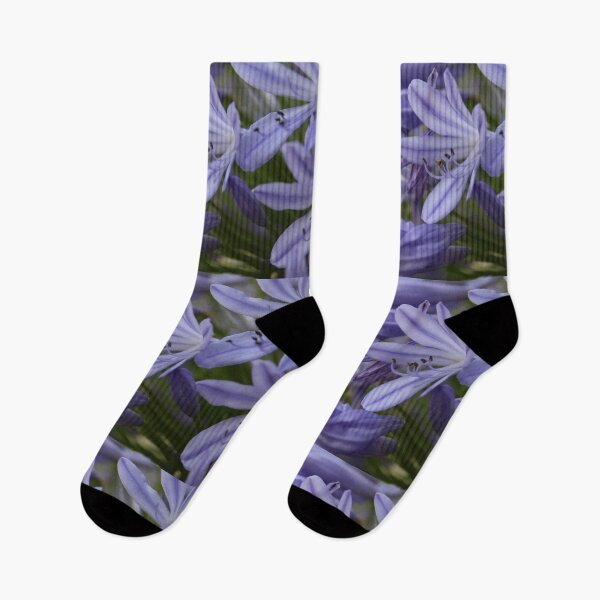Item preview, Agapanthus designed and sold by Honey Myrtle Studio.