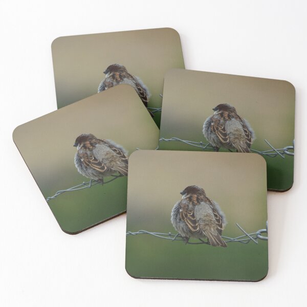 Wired Coasters (Set of 4)