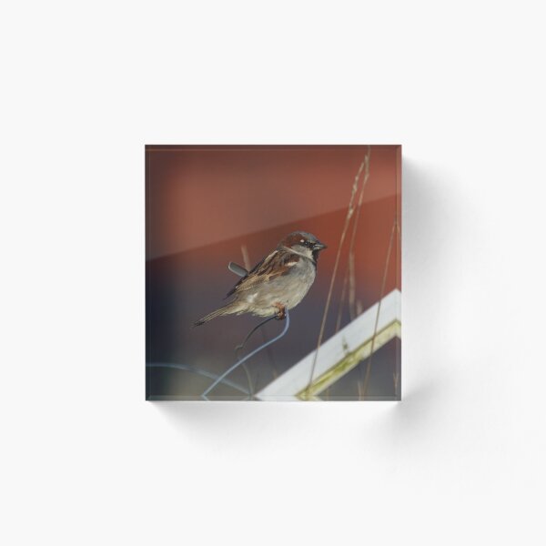 Item preview, On a wire designed and sold by MetalPhoto.
