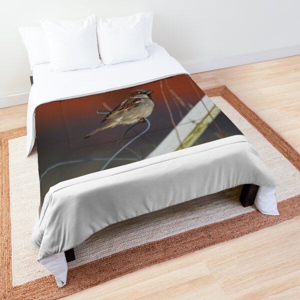On a wire Comforter