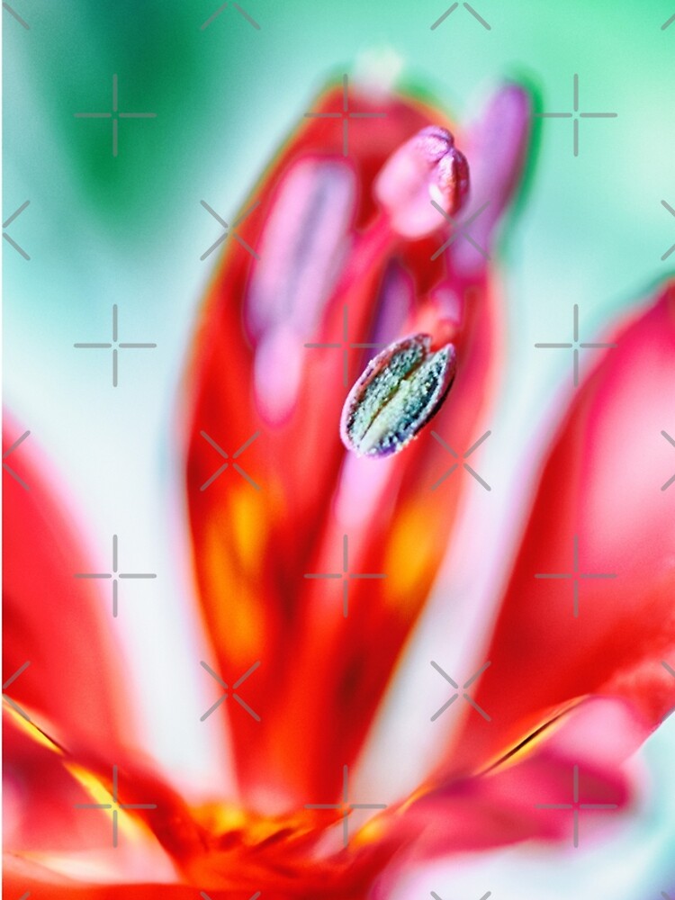 Flower Mystical by WendyLeyten