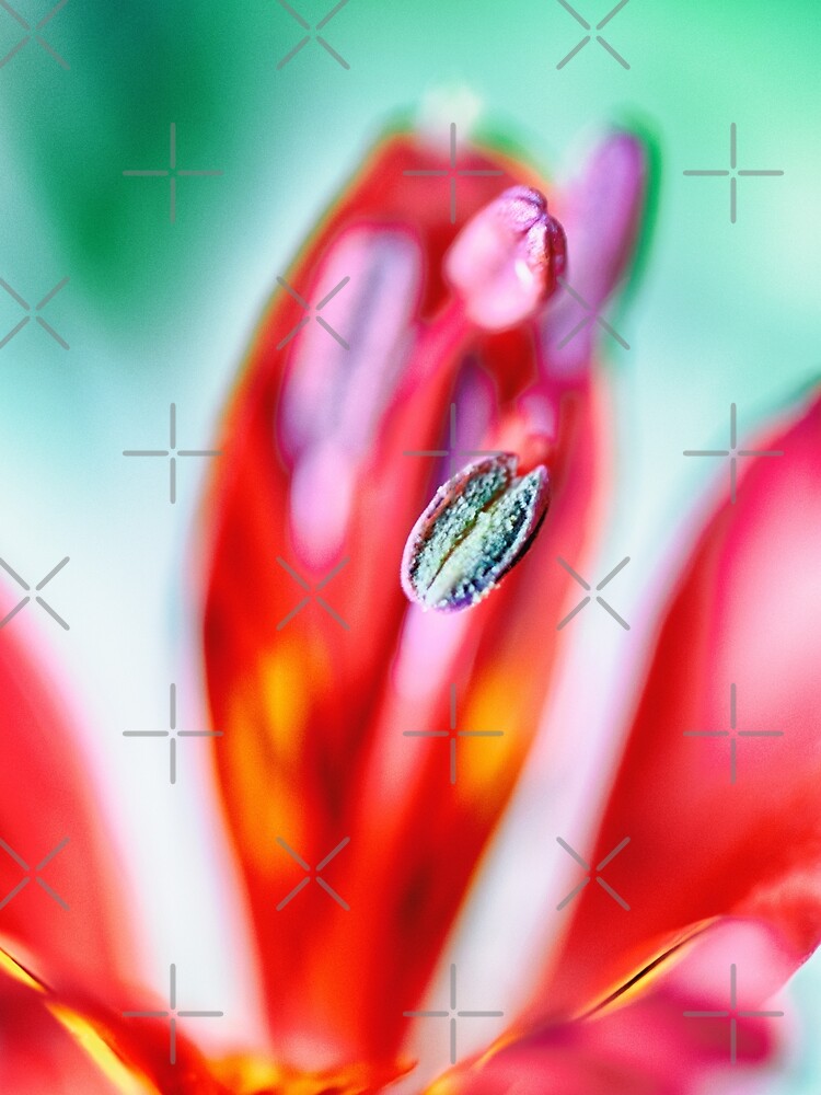 Flower Mystical by WendyLeyten