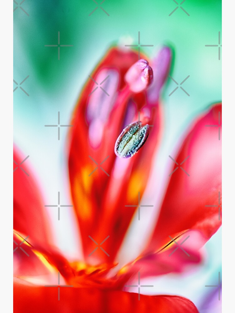 Flower Mystical by WendyLeyten