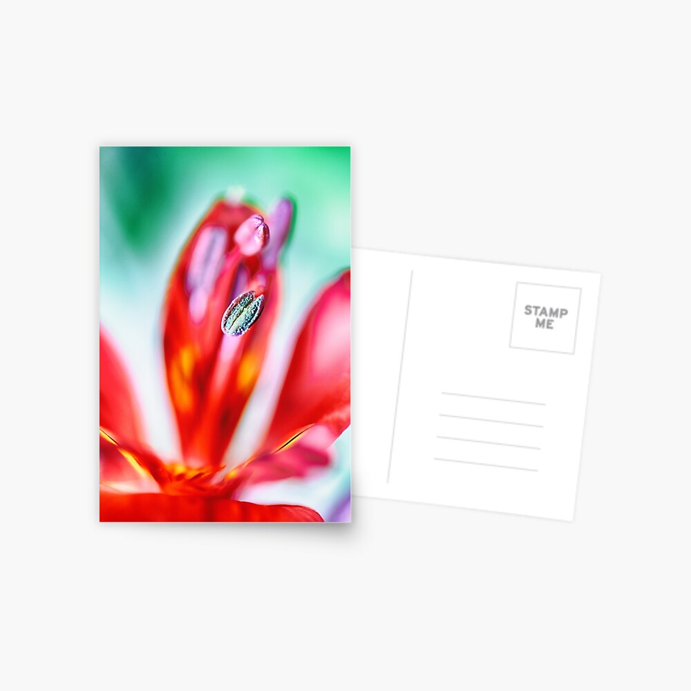 Flower Mystical  Postcard