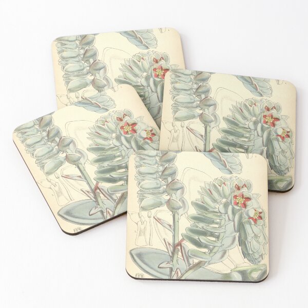 Item preview, Curtis's botanical magazine (Tab. 4951) (8550709675) designed and sold by EsotericBotanic.