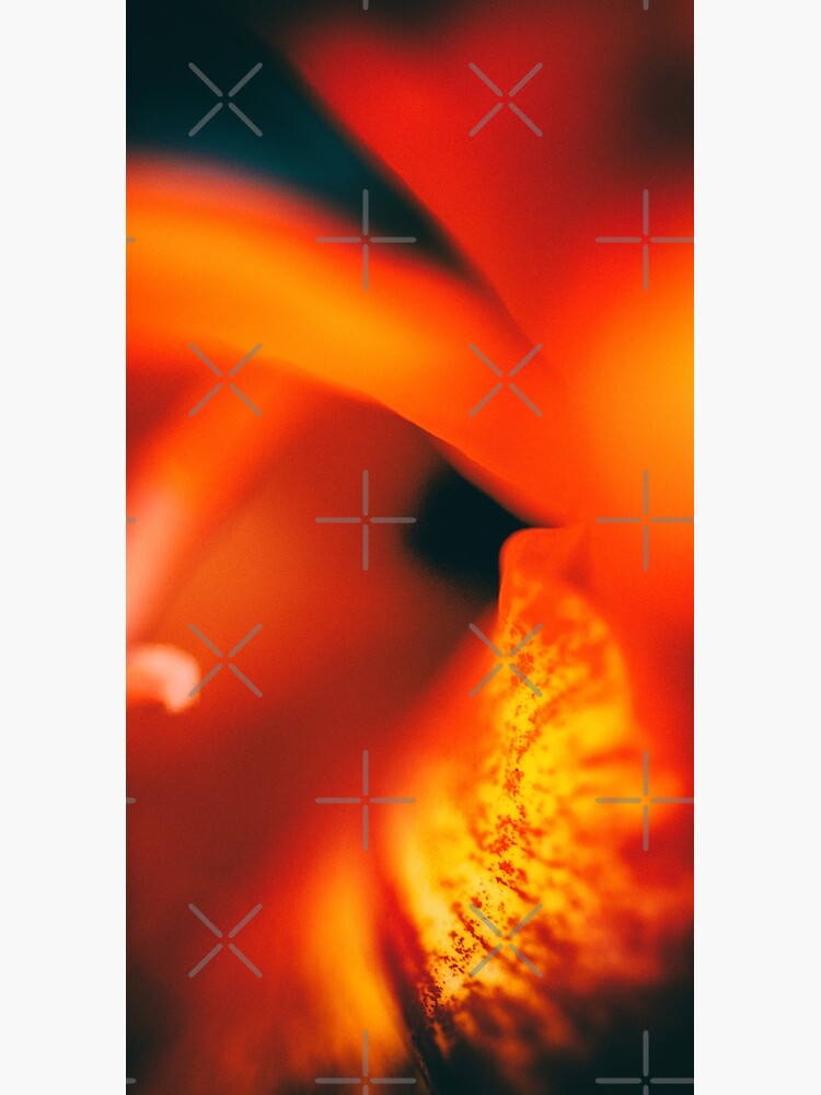Flower Mystical by WendyLeyten