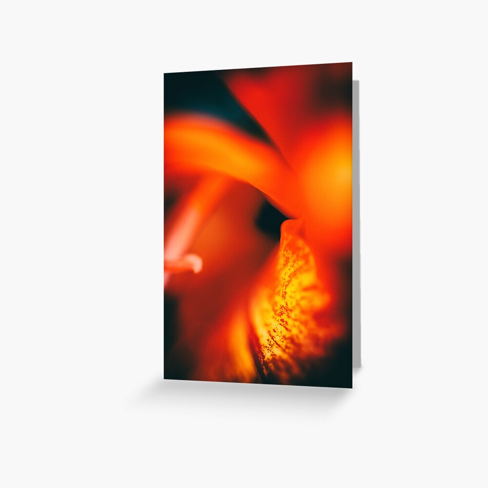 Item preview, Greeting Card designed and sold by WendyLeyten.