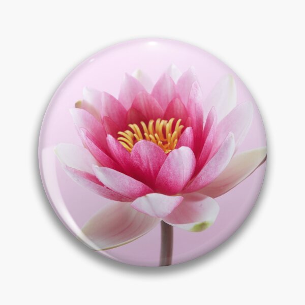 Item preview, Pink Water Lily Pad Art Print designed and sold by Mexikawaii.