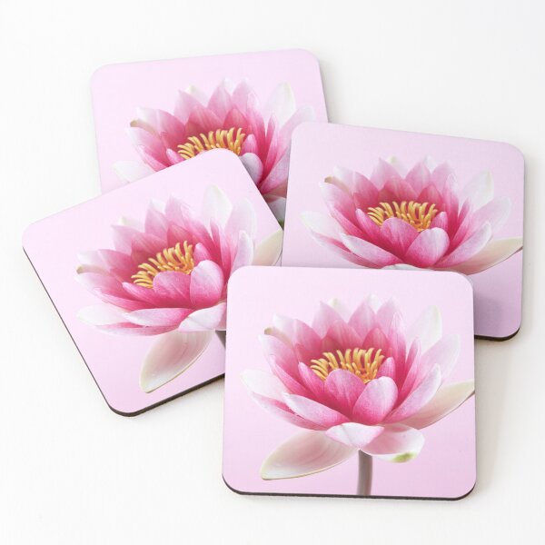 Item preview, Pink Water Lily Pad Art Print designed and sold by Mexikawaii.