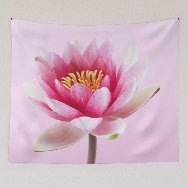 Item preview, Pink Water Lily Pad Art Print designed and sold by Mexikawaii.