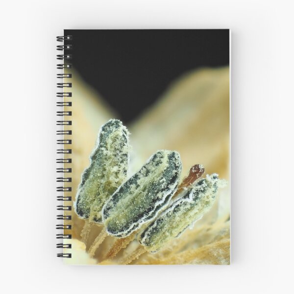 Item preview, Hot chili pepper flower under the microscope designed and sold by SDym Photography.