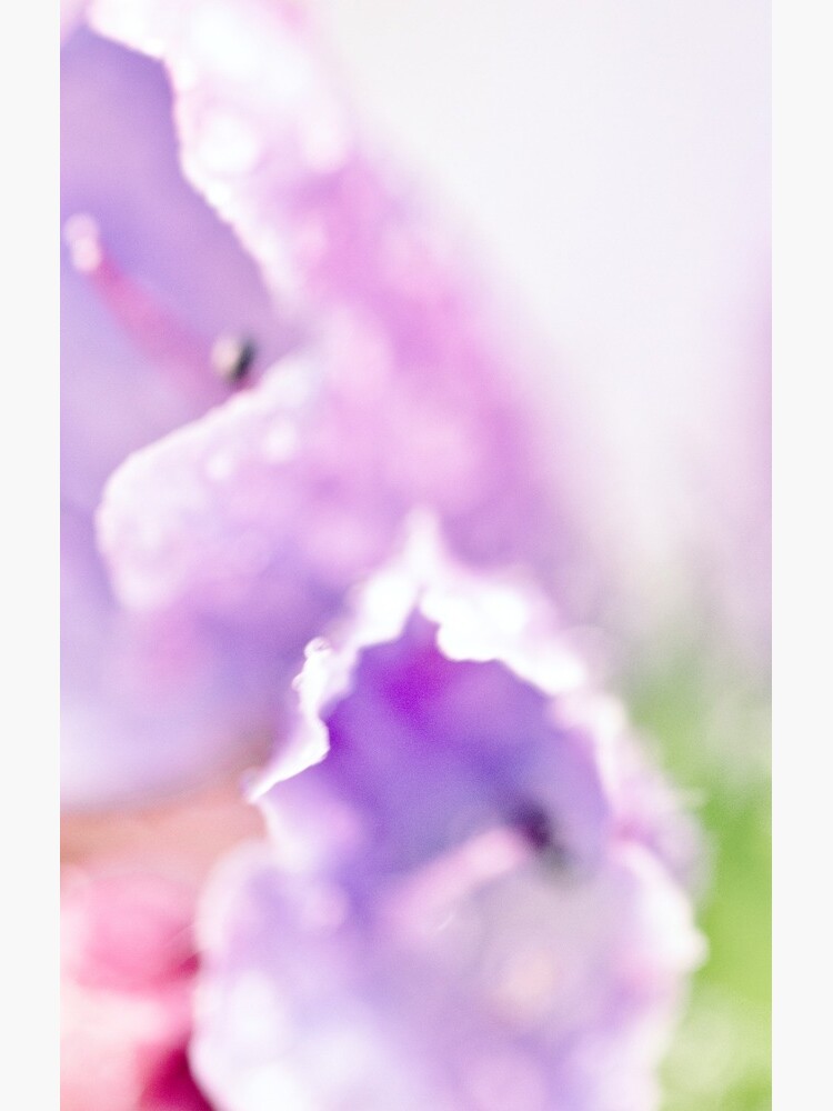 Flower Mystical by WendyLeyten