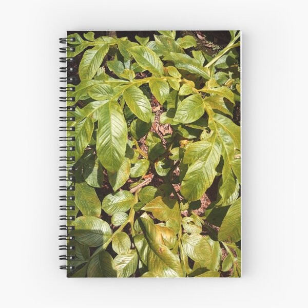 Item preview, Tropical Leaves leaf simple design watercolor artwork pattern designed and sold by SILVERAPPLE.
