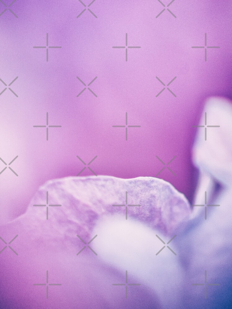Flower Mystical by WendyLeyten