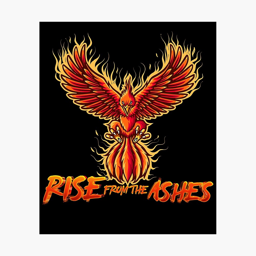 Fire Phoenix Rise From The Ashes Graphic Quotes Poster By Belmahdy Redbubble