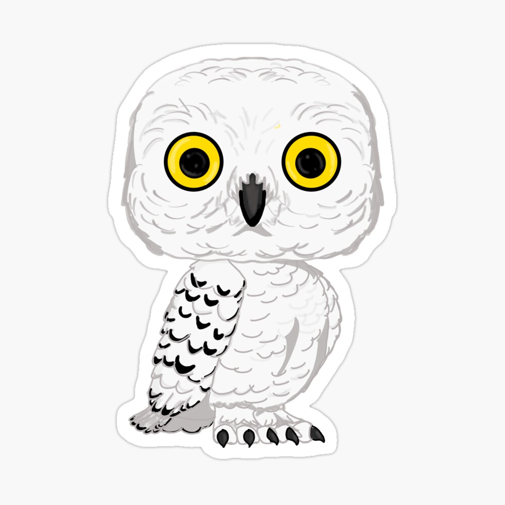 And Her Snow-owl Familiar - Cute Harry Potter Owl Drawing PNG Image |  Transparent PNG Free Download on SeekPNG