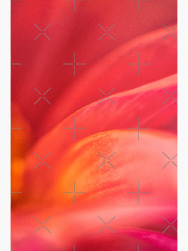 Flower Mystical by WendyLeyten