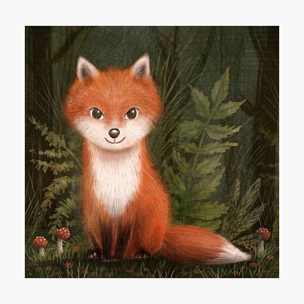 Little Fox Woodland Photographic Print