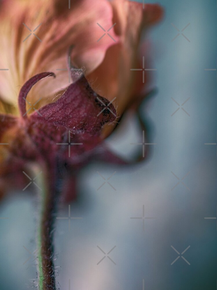 Flower Mystical by WendyLeyten