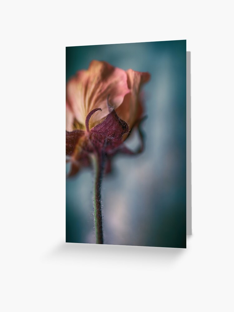 Greeting Card, Flower Mystical designed and sold by Art-Foto .be