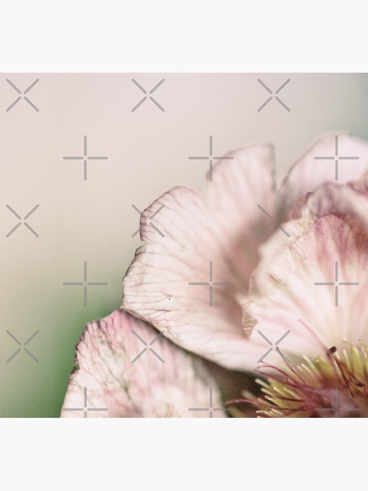 Flower Mystical by WendyLeyten
