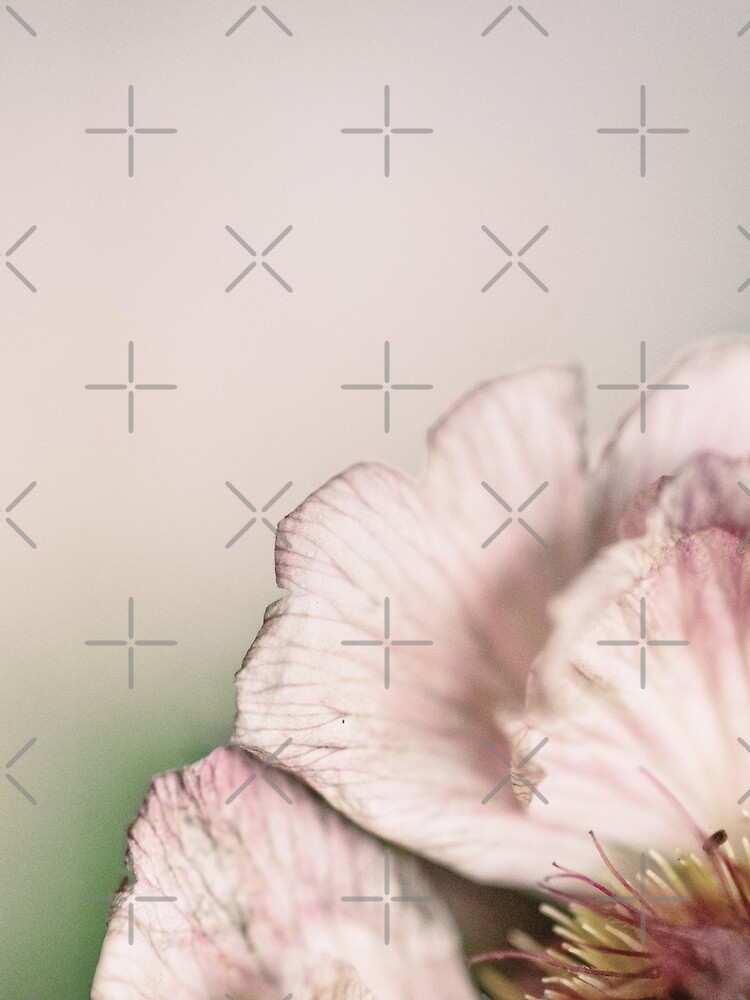 Flower Mystical by WendyLeyten