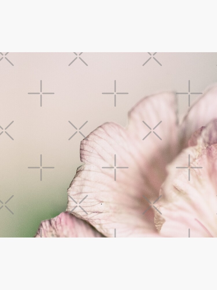 Flower Mystical by WendyLeyten