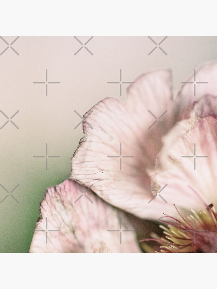 Flower Mystical by WendyLeyten