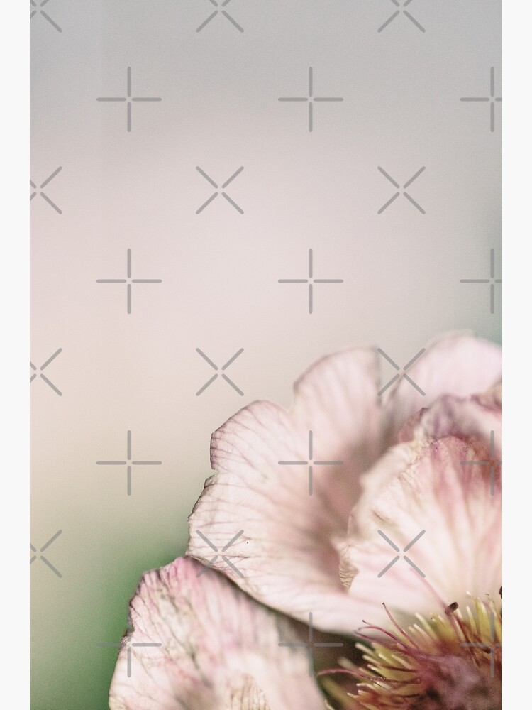 Flower Mystical by WendyLeyten