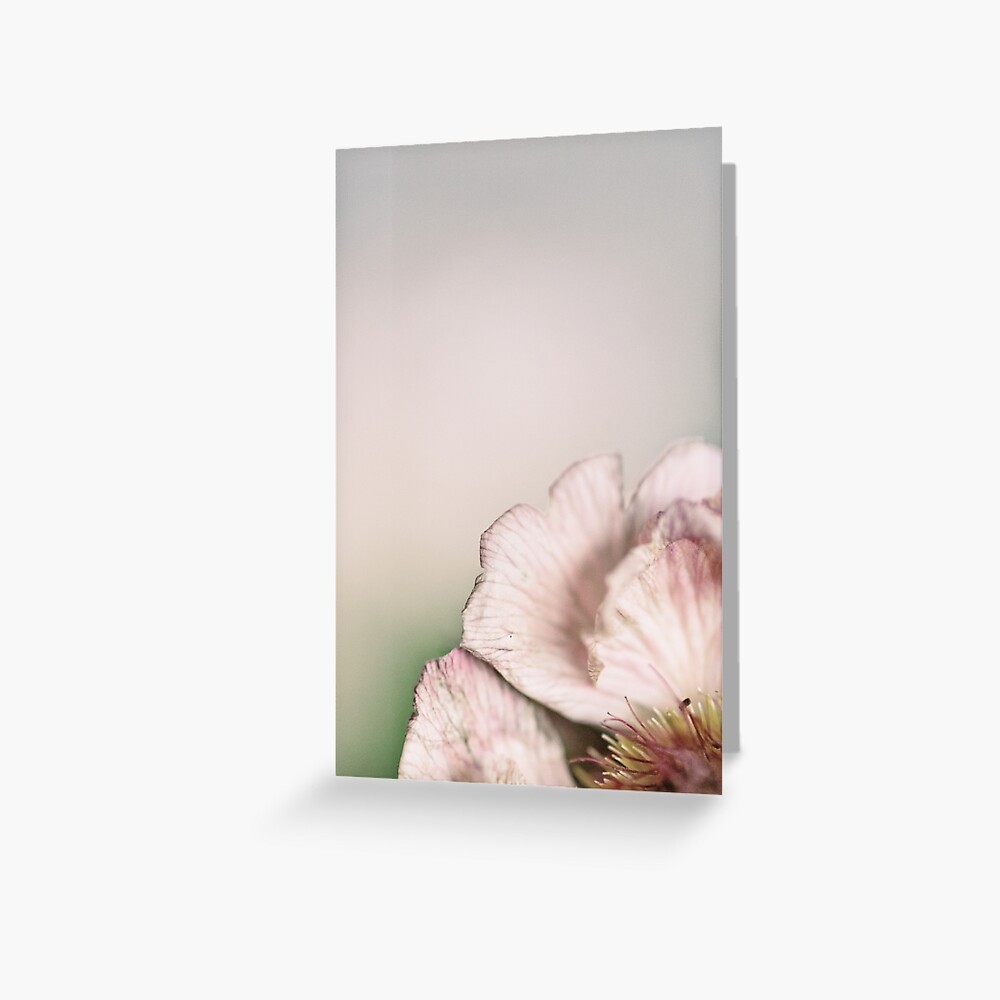 Flower Mystical Greeting Card