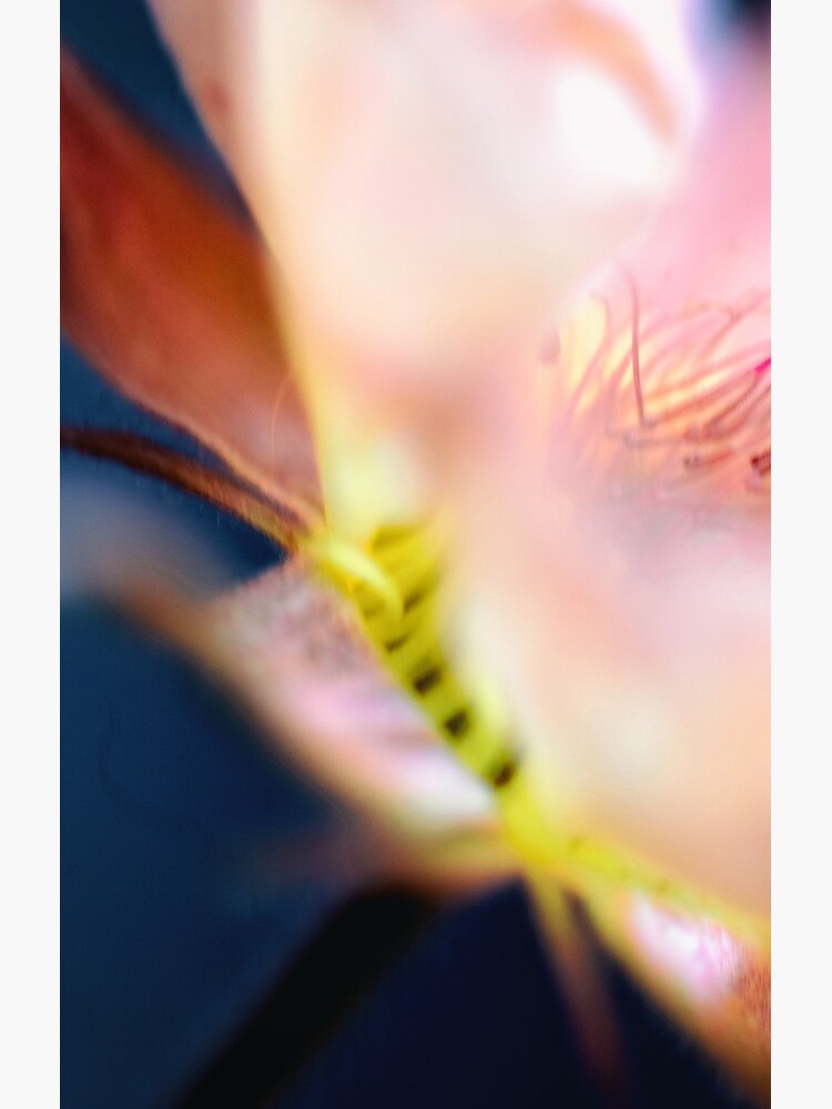 Flower Mystical by WendyLeyten