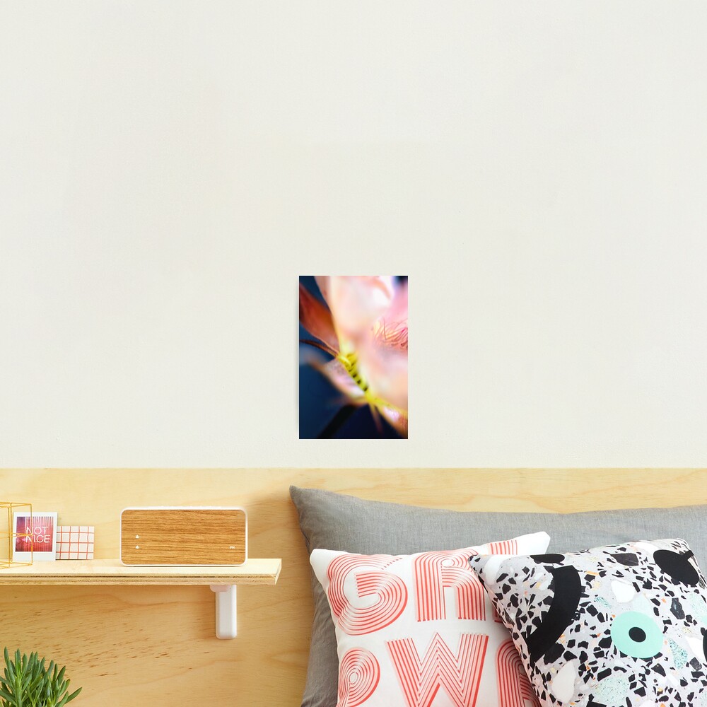 Item preview, Photographic Print designed and sold by WendyLeyten.