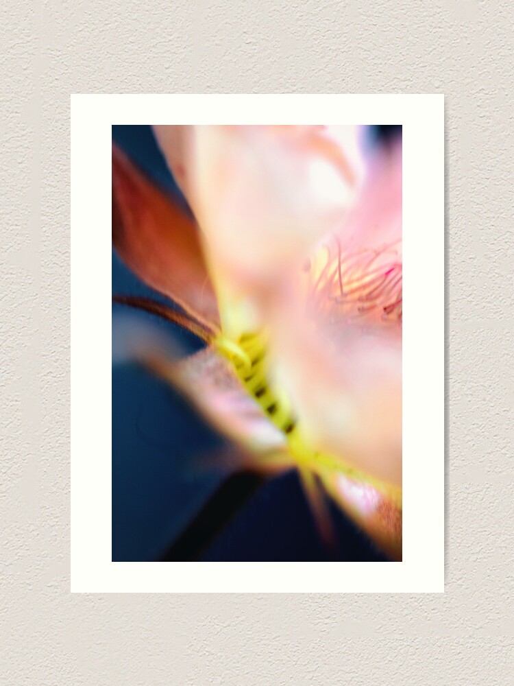 Alternate view of Flower Mystical Art Print