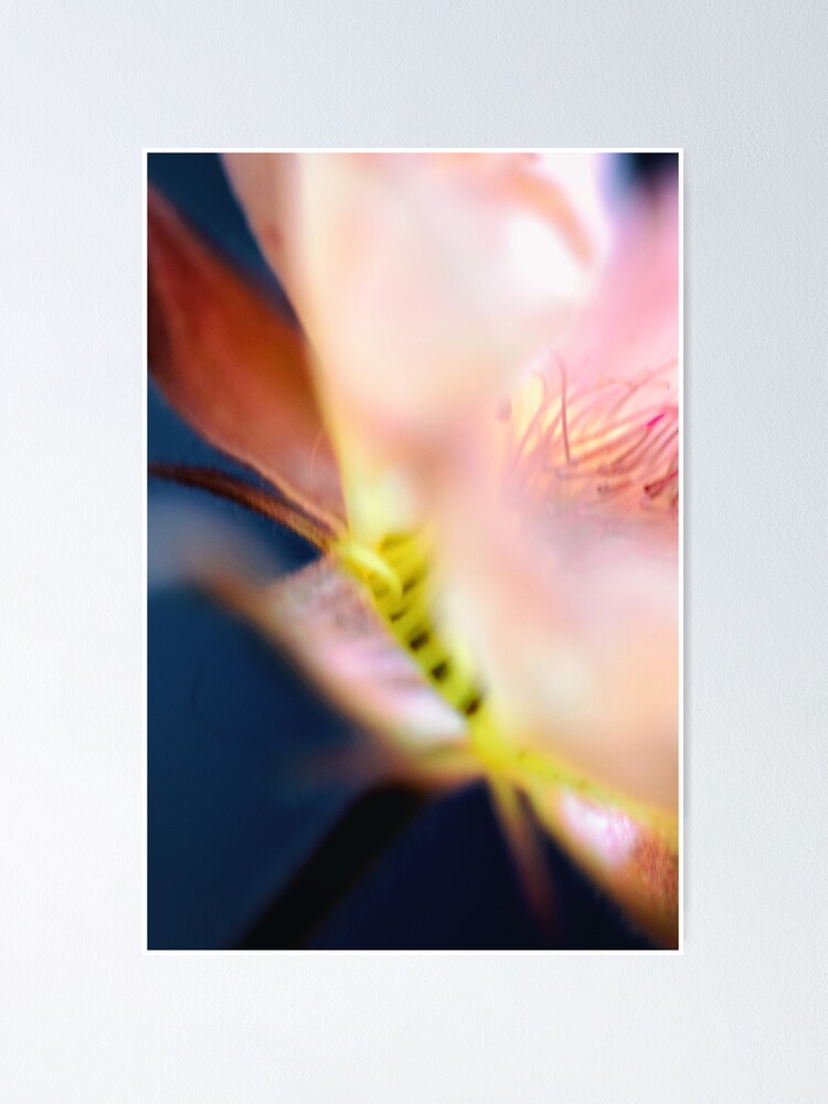 Alternate view of Flower Mystical Poster