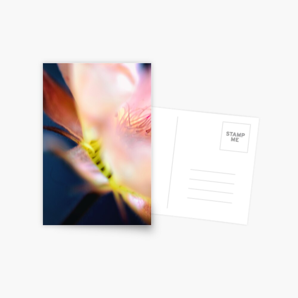Flower Mystical Postcard