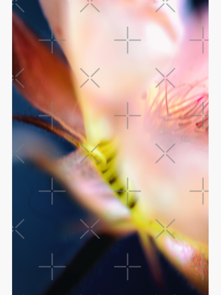 Flower Mystical by WendyLeyten