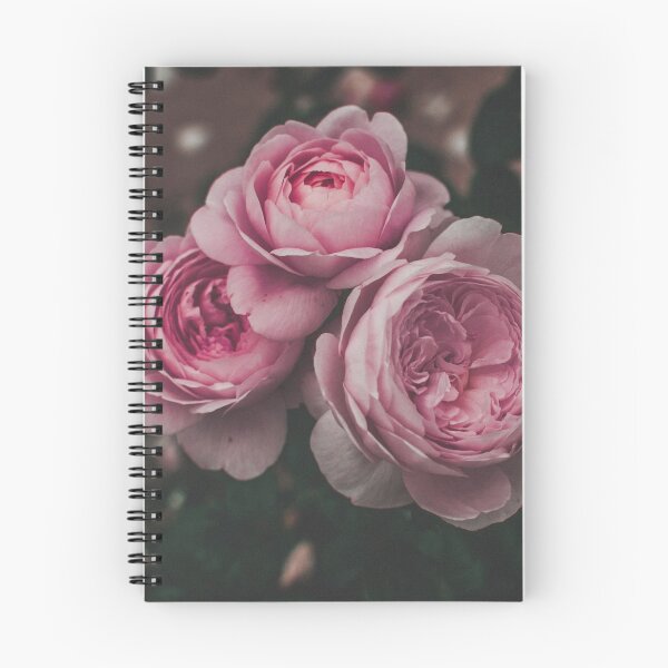 Item preview, Roses II designed and sold by belbelart.