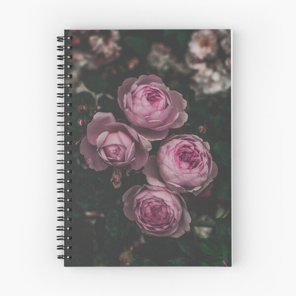 Item preview, Roses III designed and sold by belbelart.