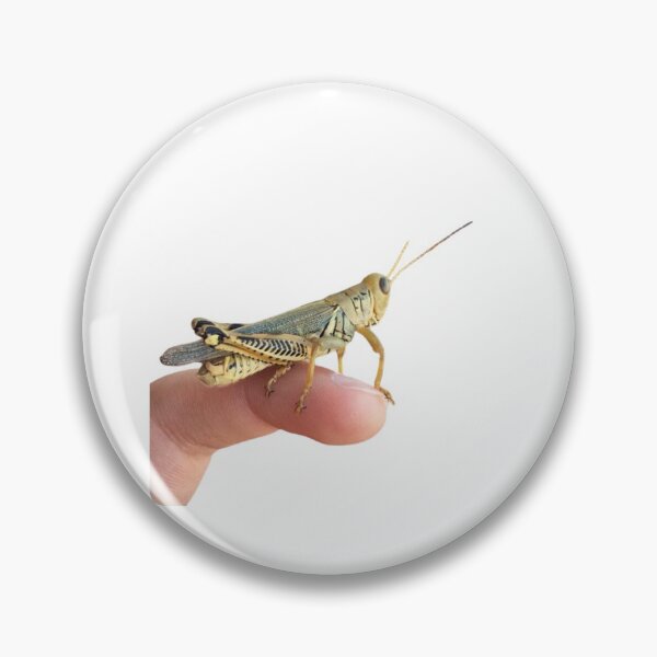Item preview, A Friendly Grasshoper designed and sold by samemeow.