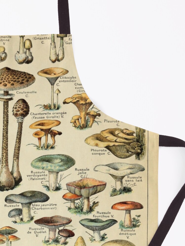 Alternate view of Mushrooms Apron