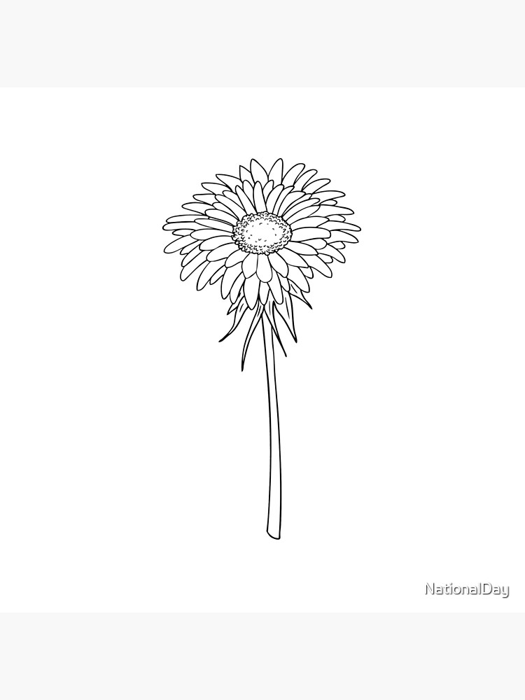 Black and White Daisy Doodle | Art Board Print